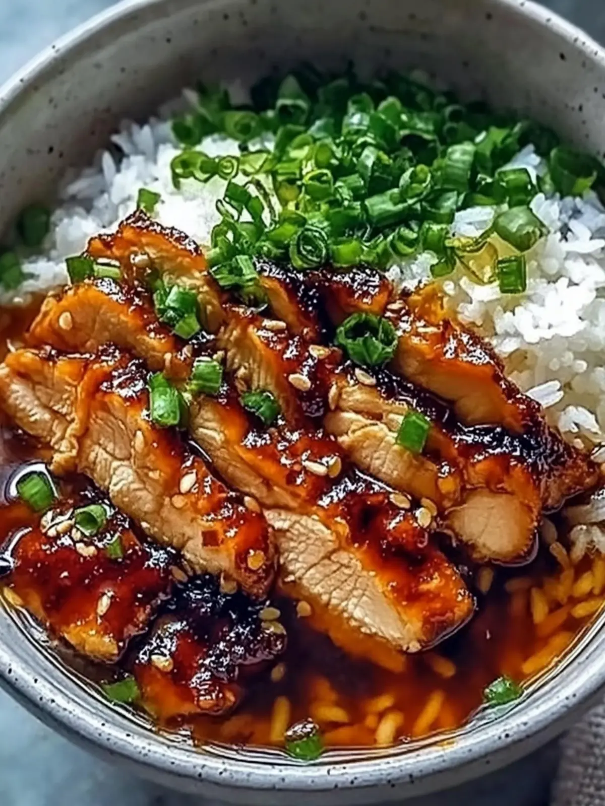 Savory Caramelized Soy Chicken in Garlic Ginger Broth with Rice 3 Caramelized Soy Chicken in Garlic Ginger Broth with Rice